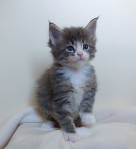 whatsapp image 2025-11-29 at 11.47.11.jpeg