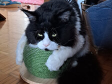 1a4e7648-52c3-4cba-8daa-aa9371632403