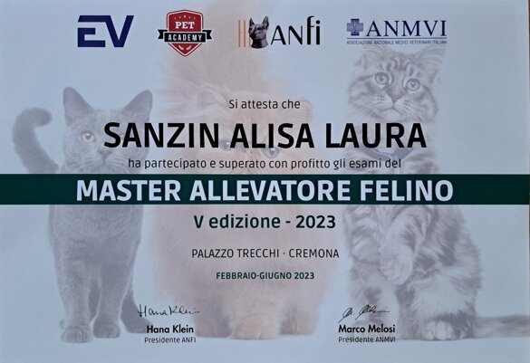 bd1558b8-bc07-4afb-ace5-8d4419e9f972