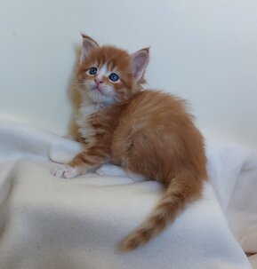 whatsapp image 2025-11-29 at 11.47.48.jpeg