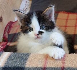 whatsapp image 2025-11-29 at 11.47.11 (2).jpeg