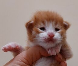 d7747486-0c12-448a-997a-4b8d762750c3