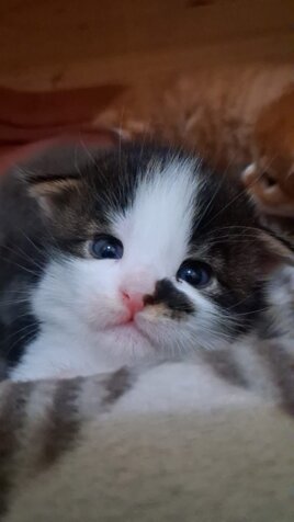 whatsapp image 2025-11-29 at 12.40.26.jpeg