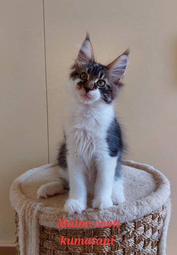 1960cee6-56a9-4030-a8c9-fcc5e9b3cdd8