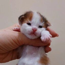 9a15f0bc-6fe2-47ed-9815-f0feb024720d