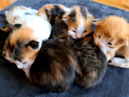 6c4bbbeb-d9bc-4eae-83ec-db7794f8250c