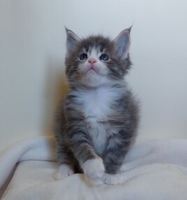 whatsapp image 2025-11-29 at 11.47.10.jpeg