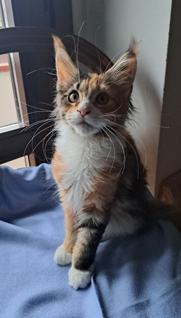 1fe55093-c214-434d-a0be-1589eca1dbd6