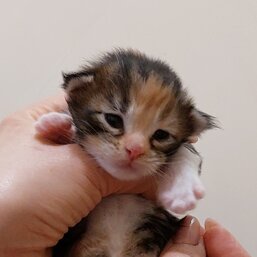 5762ac9e-715e-48b7-9a6d-cda42abc9b2a