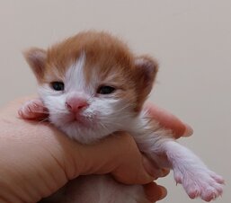 20b75f84-a246-4df7-aa93-3ae358a5466a