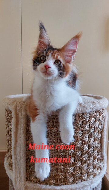 1bd202f6-dcbb-4eab-ad6f-9084757e1262