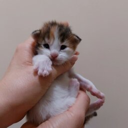 e3f48ff3-4c08-4cb9-b5b8-3e62489910f6