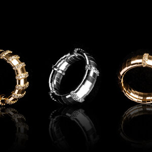 ANM5DB Monaco ring with 5 inserts White Diamonds