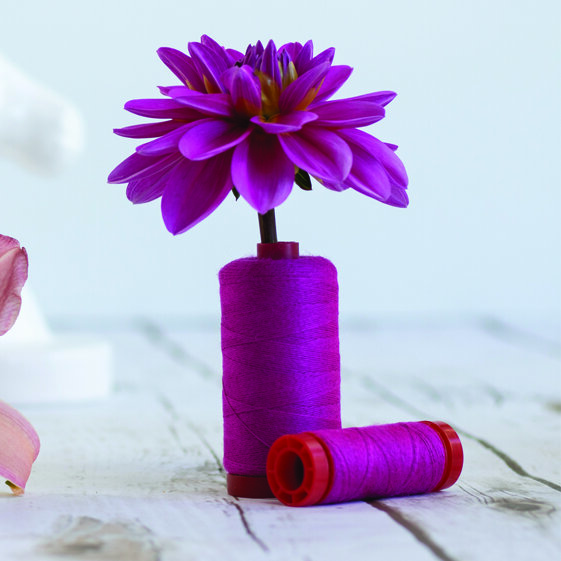 484e5056-79fc-4dab-b85f-9a964b4ff5af