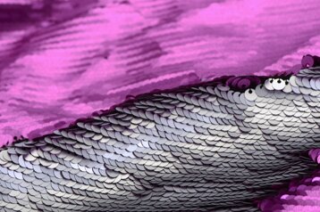 74e65d27-e4c9-4750-ab62-e2d34f1ff826