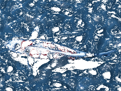 c1a64be5f6bef9a59f15d2b30aa9872d7a09a220