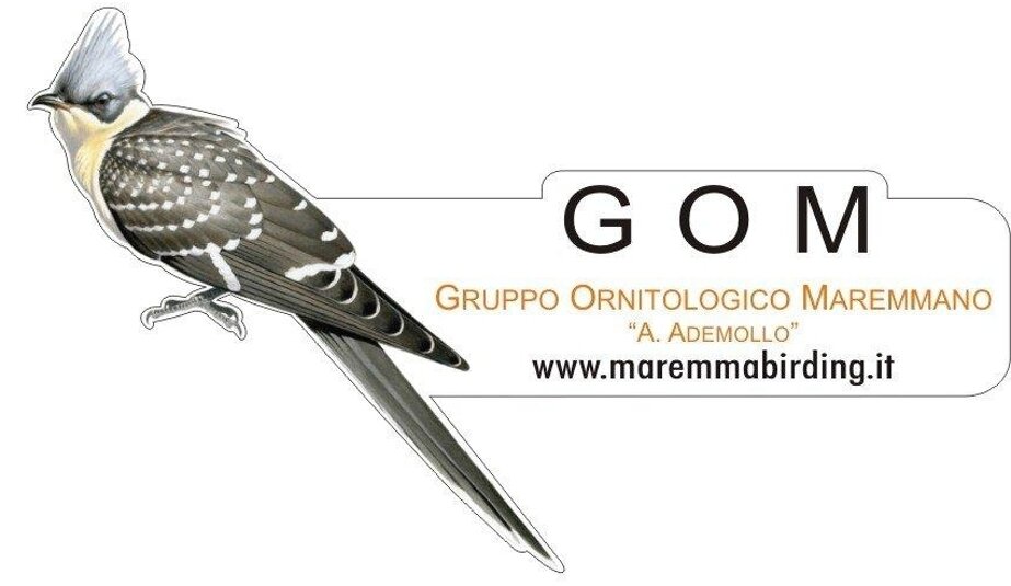 0660b5bb73efb0e76f305dc373d0293a3ea3ecd6