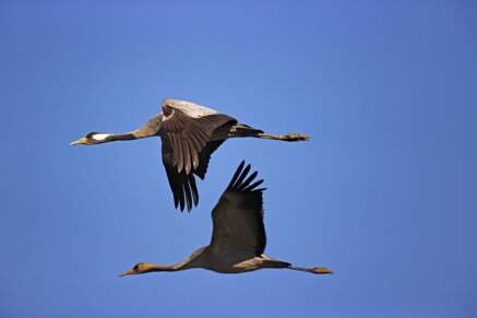 7f175f7c60d1ab513b0f81d2b2f45f959361d1a9