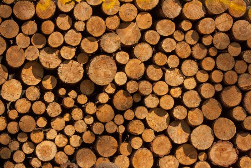 lavori forestali