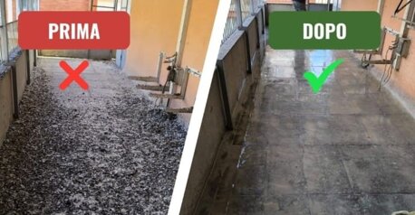 Guano da piccione