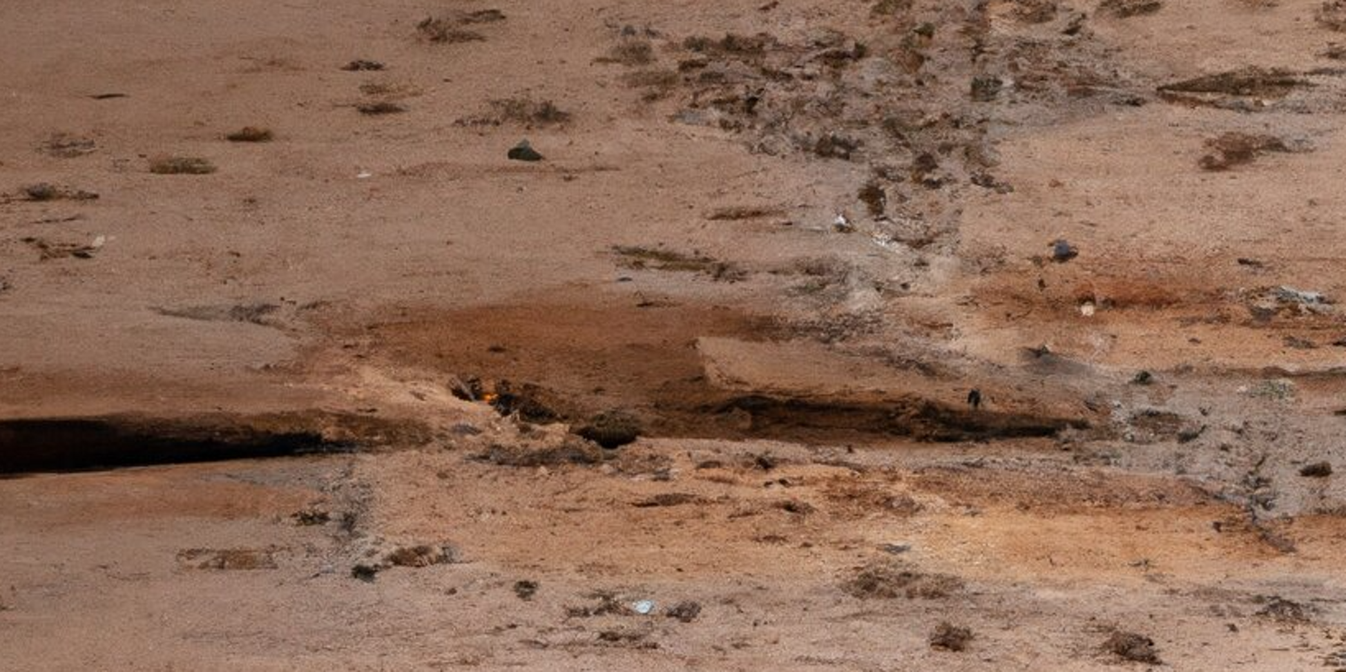 trave consumata dai tarli