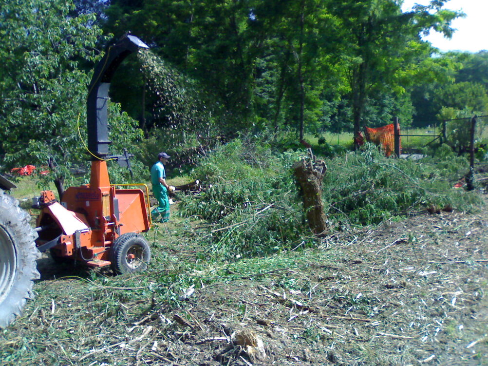 foto2.jpeg foto2.jpeg