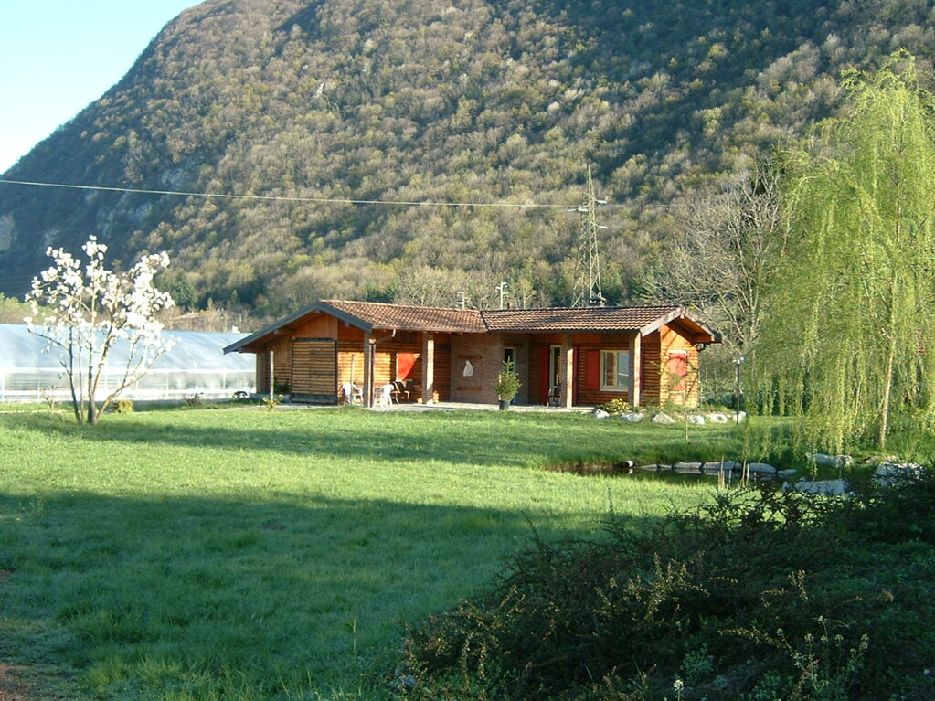 dscf0008.jpeg dscf0008.jpeg