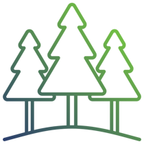forest_9613888