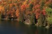 autunno in canada free image pixabay.jpeg