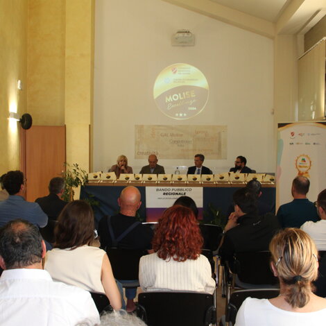 Molise Eccellenze. Bando Pubblico Regionale per la Certificazione di Eccellenza.