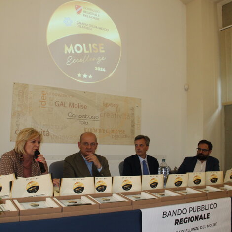 Molise Eccellenze. Bando Pubblico Regionale per la Certificazione di Eccellenza.