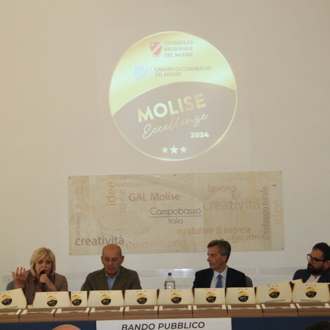 Molise Eccellenze. Bando Pubblico Regionale per la Certificazione di Eccellenza.