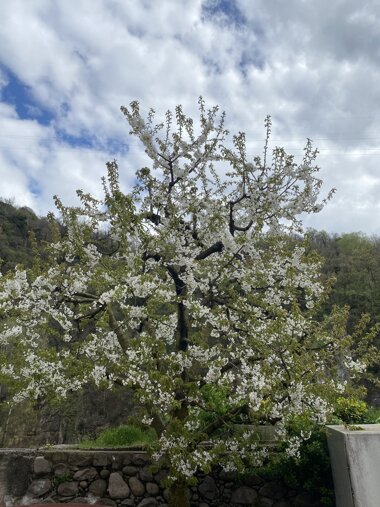 alt= percorsi nutrizionali dottoressa Marianna Piffer