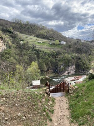 alt=domande utile sullo studio di nutrizione della dottoressa Piffer Marianna