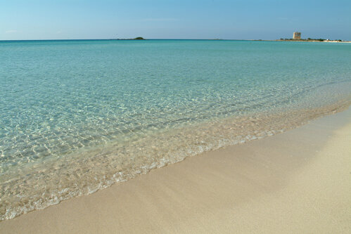 spiaggia dune.jpeg