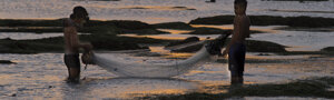 _dsc0931.jpeg