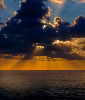 _dsc7127.jpeg