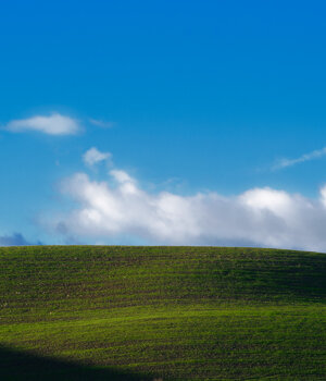 dsc_0005.jpeg