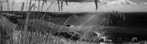 _dsc2926.jpeg