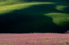 _dsc2972.jpeg