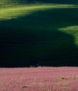 _dsc7147.jpeg