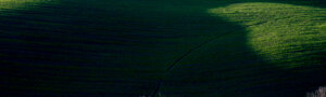 dsc_3183d.jpeg