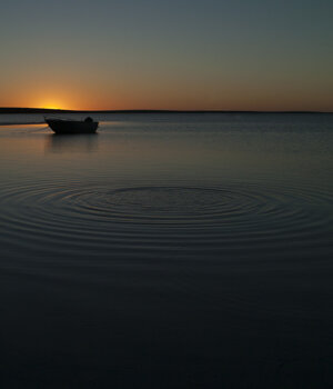 _dsc1063.jpeg