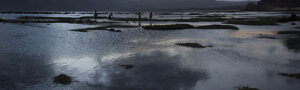 _dsc8177.jpeg
