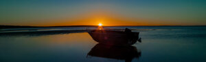 _dsc1313.jpeg