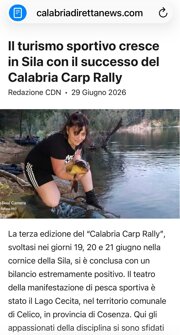 articolo.jpeg