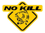 no kill.jpeg