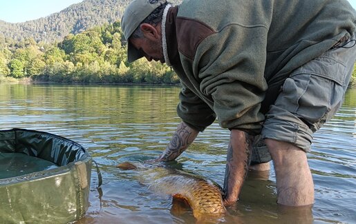 img-20250714-wa0171.jpeg