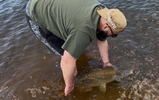 img-20250714-wa0031.jpeg