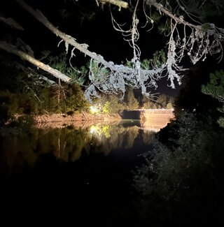 img-20250712-wa0039.jpeg
